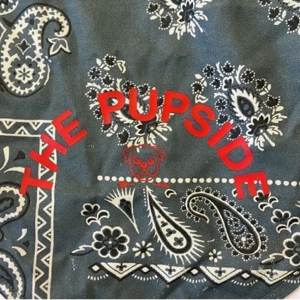 NWT The Upside Dog PUPSIDE Blue Necktie Bandana